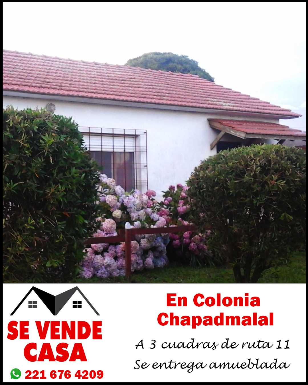 Propiedad: 134982